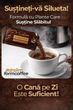 dr slim form coffe cafea cu extract de l carnitina si cicoare detox 30 plicuri www.slimming-time-romania.com photo 7