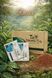 ceai teff pentru slabit si antioxidant din seminte de teff  teff1 photo 2