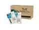ceai teff pentru slabit si antioxidant din seminte de teff  teff1 photo 4