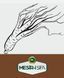 cafea cu extract din ginseng  energizant natural  cafea solubila cu gin seng photo 5